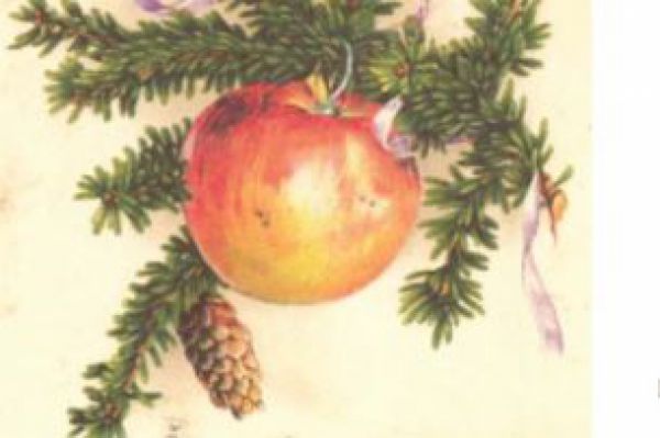 Obr&aacute;zky Vianoc II: V&ocirc;ňa slamy a ihličia