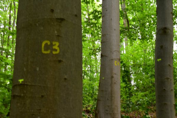 Ilustračné foto: Jozef Marko 