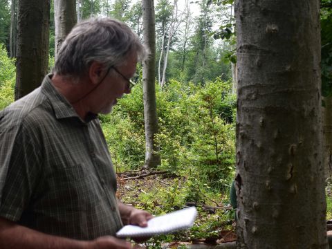 Ing. Milan Zúbrik, PhD. z Lesníckej ochranárskej služby pri buku napadnutom lykožrútom bukovým 