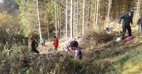 Dobrovoľn&iacute;ci sadia nov&uacute; horu