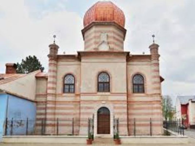 Živé lesy v synagóge