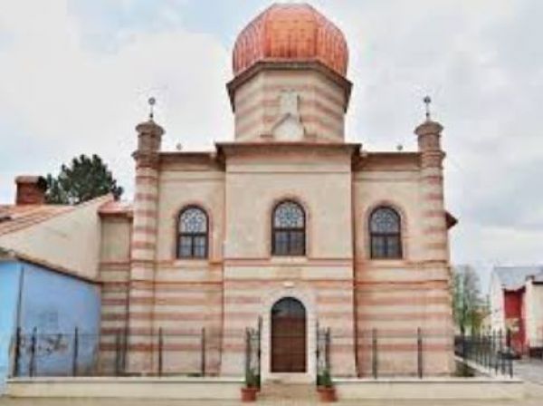 Živ&eacute; lesy v synag&oacute;ge