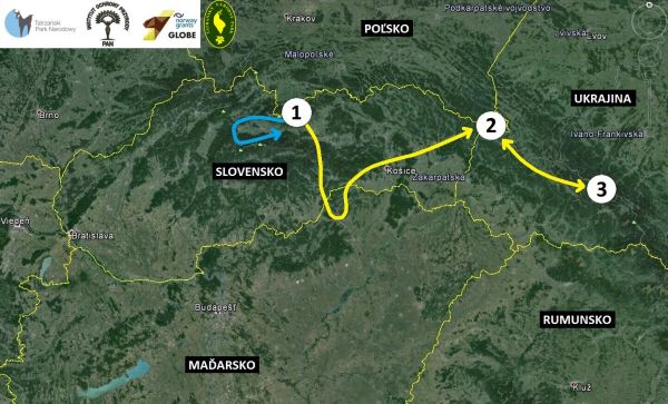 Mapa pohybu medveďa Iwa