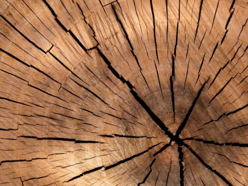 Zdroj: Internetová stránka SVOL 