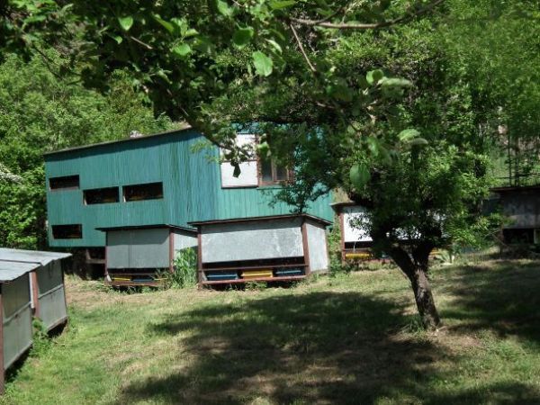 Včelnica Ing. Mareka Noska pod Mur&aacute;ňom 