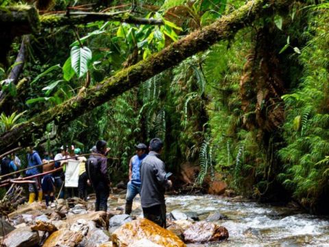 Zdroj: Internetová stránka MENDELU 