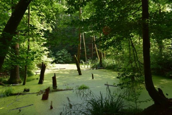 Ilustračn&eacute; foto Jozef Marko