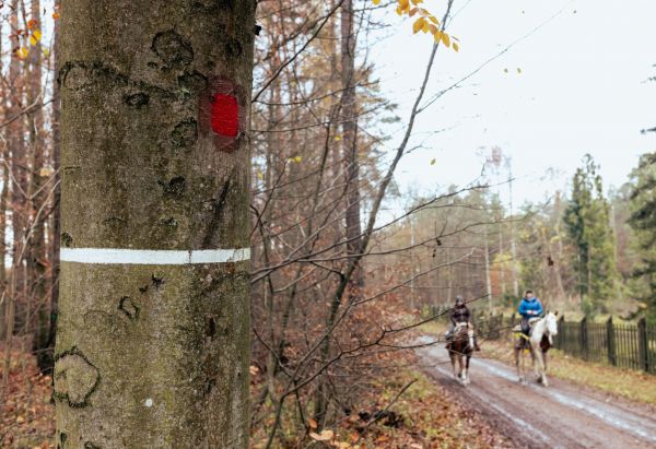 Zdroj: FB stránka ŠLP Křtiny