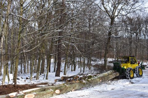 V zime prebieha v lesoch ťažba, čo si vyžaduje zvýšenú opatrnosť návštevníkov 