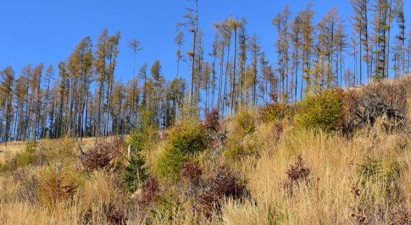 Ilustračn&eacute; foto Jozef Marko