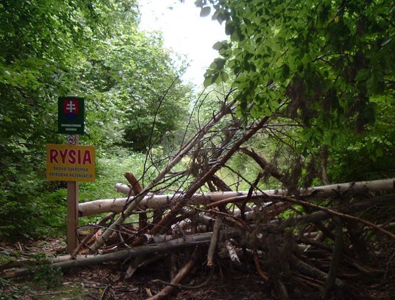 Podpisujú sa pod nič