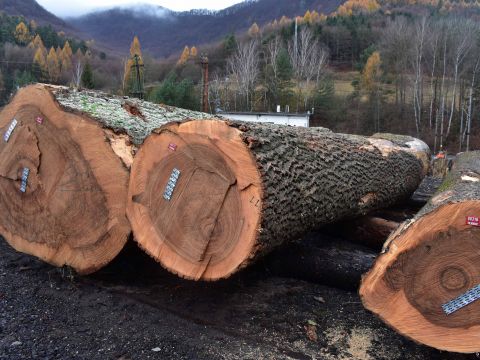 Ilustračné foto: Jozef Marko 