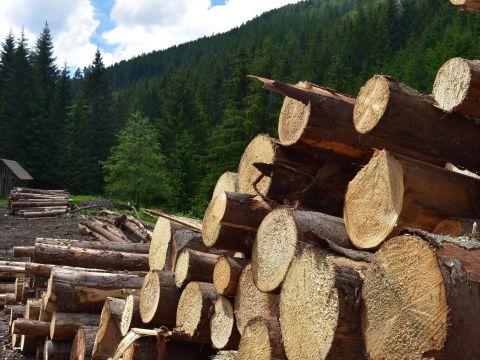 Ilustračné foto: Jozef Marko 