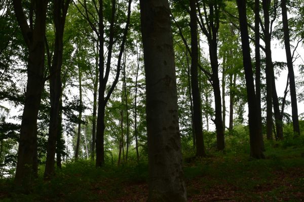 Ilustračné foto: Jozef Marko 