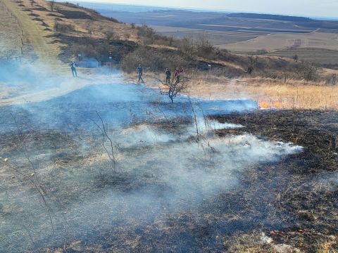 Zdroj: FB stránka LDF MENDELU 