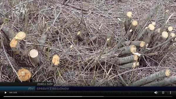 Zdroj: Správy z regiónov RTVS 