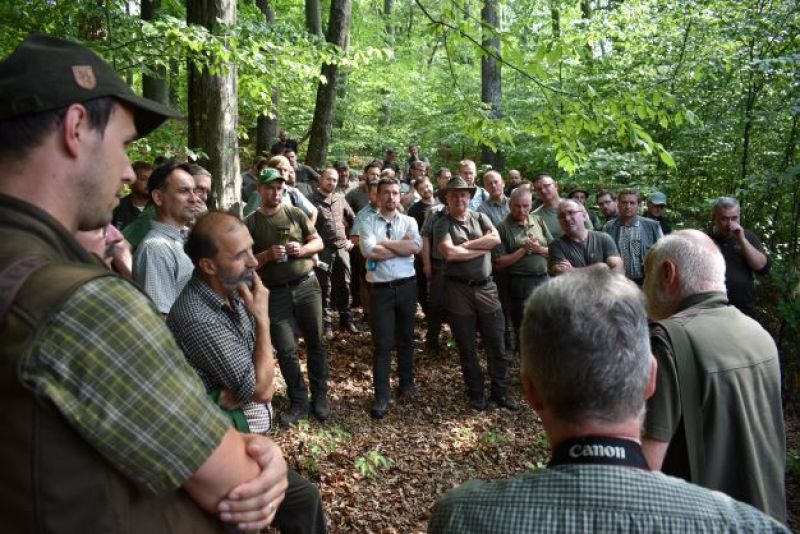 Lesníci takto diskutovali priamo v porastoch o ďalších postupoch na odbornom seminári v Mestských lesoch Košice 