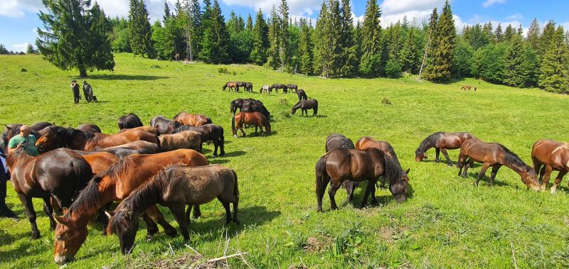 Foto k statusu Jaroslava Karahutu na sociálnej sieti 