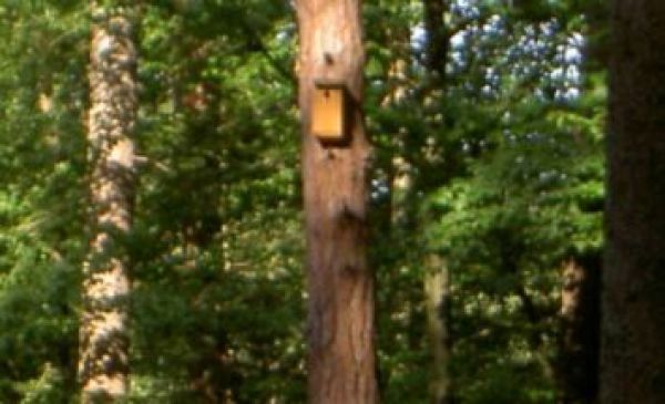 Ilustračn&eacute; foto