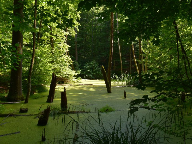 Ilustračné foto: Jozef Marko 