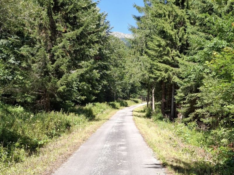 Zdroj: FB stránka Lesy mesta Brezno 