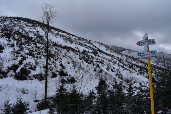 Ilustračn&aacute; sn&iacute;mka Jozef Marko