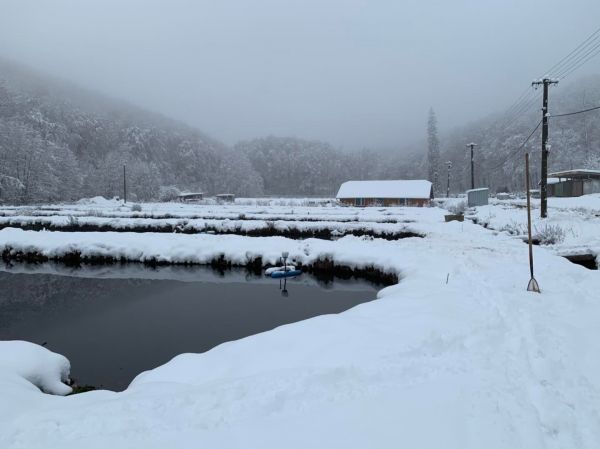 Stredisko chovu r&yacute;b Parina 
