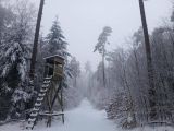 Zdroj: FB profil Ing. Róberta Gombárika 