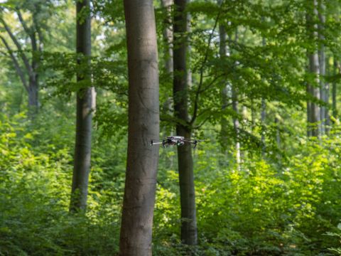 Zdroj: Internetová stránka LaDF VŠZ v Prahe 