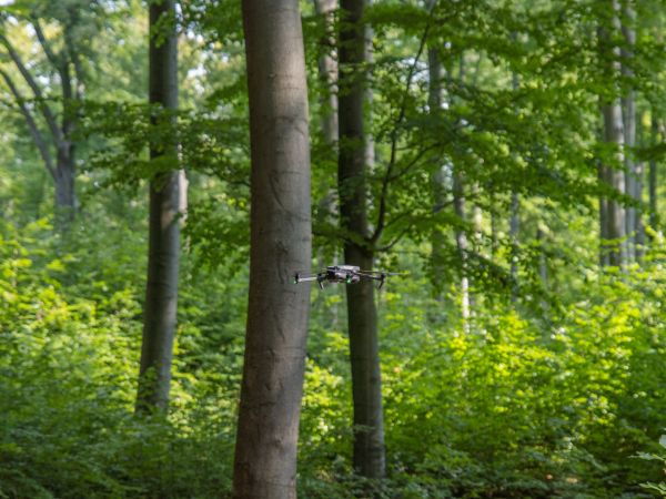 Zdroj: Internetová stránka LaDF VŠZ v Prahe 