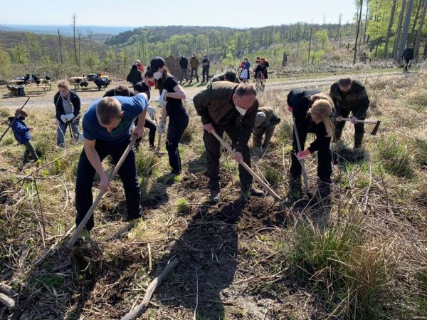 Ilustračné foto: FB stránka LESY SR 