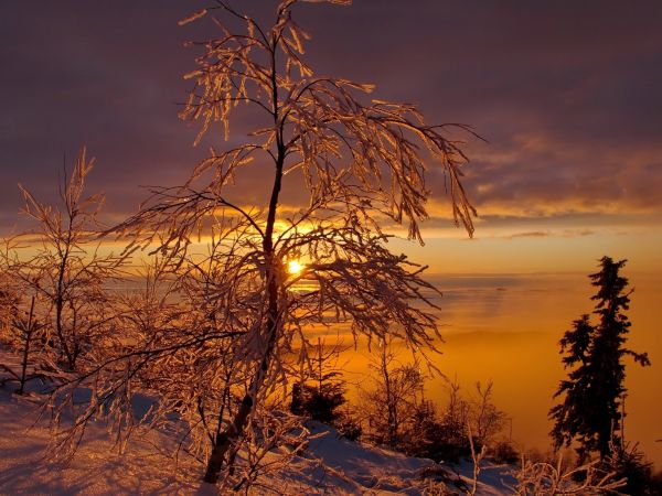 Ilustračn&eacute; foto: Marek Pindroch