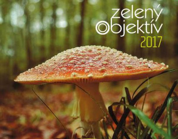 To najlep&scaron;ie z fotos&uacute;ťaže Zelen&yacute; objekt&iacute;v