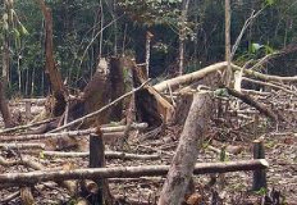 Ilustračn&eacute; foto