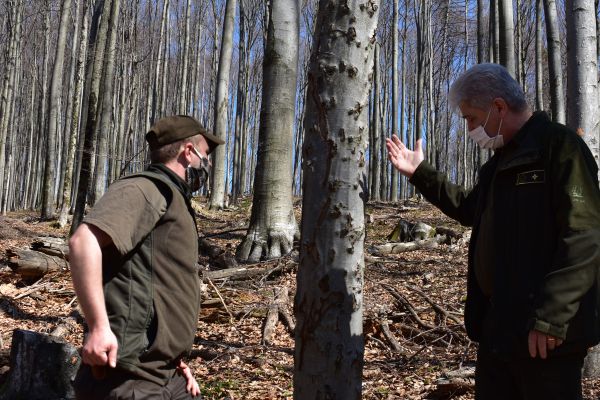 Ing. Peter &Scaron;i&scaron;ka (vpravo) a Ing. Ivan &Scaron;olt&yacute;s pri buku silne napadnutom lykožr&uacute;tom bukov&yacute;m