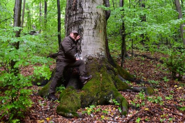 Ilustračn&eacute; foto: arch&iacute;v Lesmedium.sk