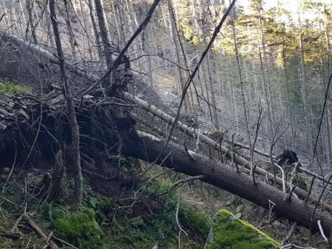 Zdroj: FB profil Ing. Róberta Gombárika 