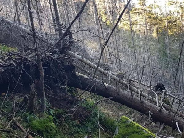 Zdroj: FB profil Ing. Róberta Gombárika 