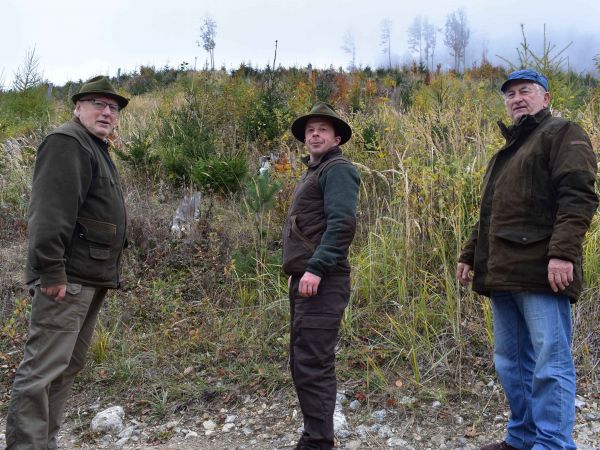 Urbárnici z Liptovskej Sielnice pri obnovených kalamitných plochách 