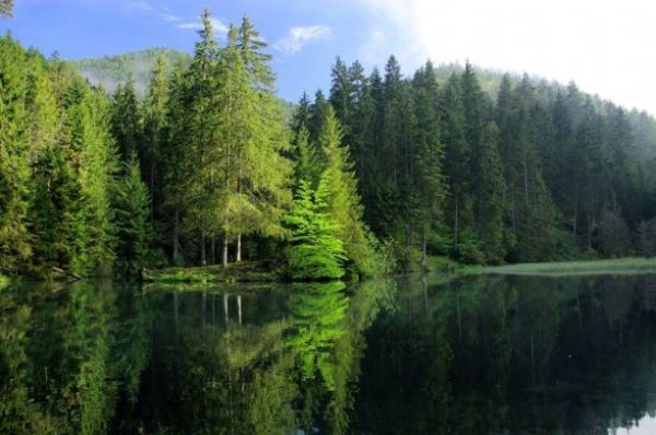 Pr&iacute;rodn&aacute; scen&eacute;ria v N&aacute;rodnom parku Slovensk&yacute; raj