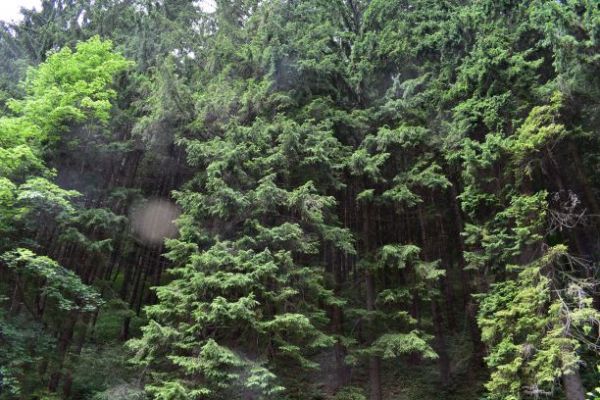 Ilustračn&eacute; foto Jozef Marko