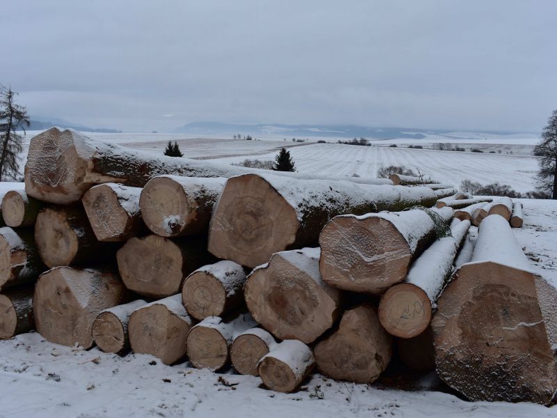 Česko doviezlo v decembri vo zvýšenej miere drevo a výrobky z dreva: Obchodný prebytok dosiahol takmer dvojnásobok hodnoty z predchádzajúceho roka