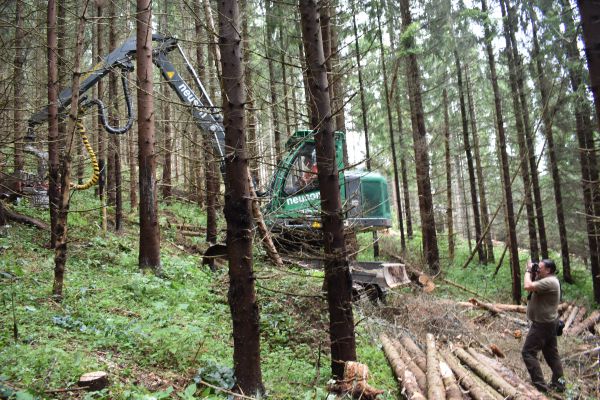 Peter Gogola počas žurnalistickej pr&aacute;ce v lesnom poraste 