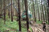 Peter Gogola počas žurnalistickej pr&aacute;ce v lesnom poraste 