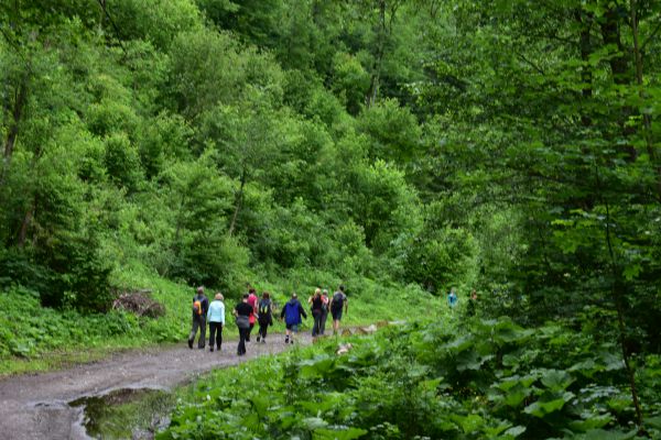 Ilustračné foto Jozef Marko