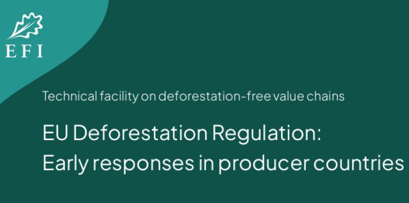 Eur&oacute;psky lesn&iacute;cky in&scaron;tit&uacute;t o EUDR 