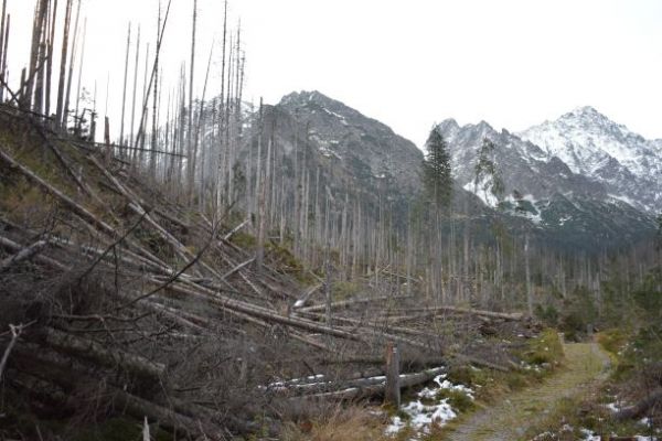 Blielovodská dolina...