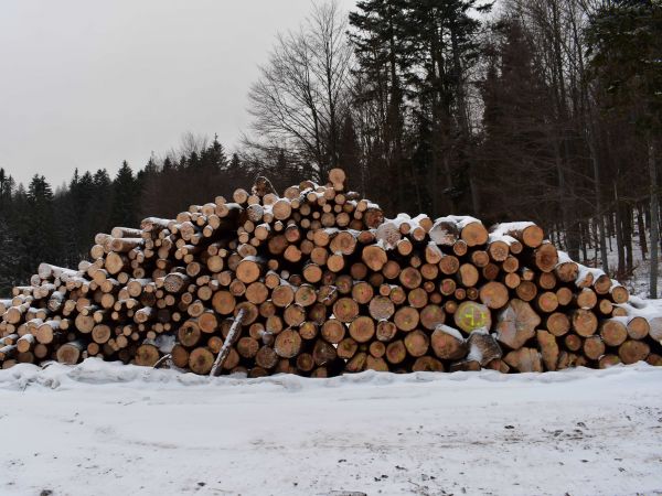 Ilustračné foto: Jozef Marko 