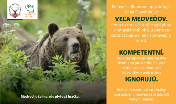 Medveď je &scaron;elma, nie ply&scaron;ov&aacute; hračka 