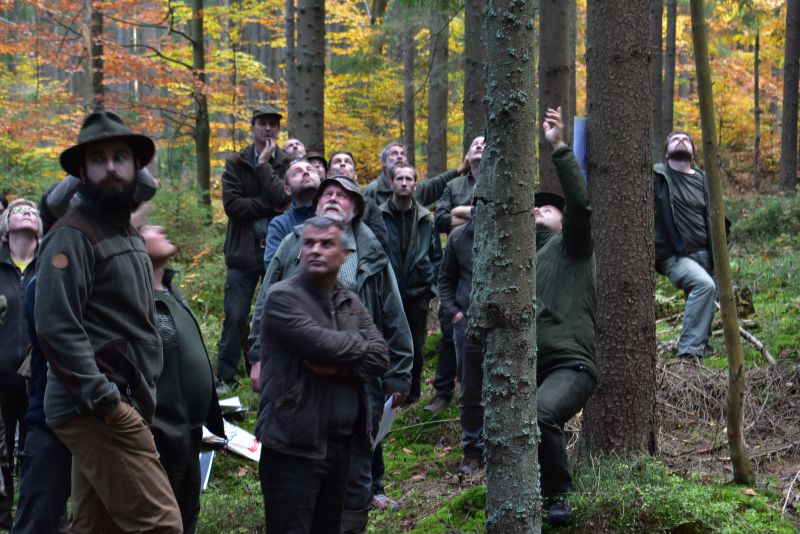 Slovenskí lesníci sa pozerajú do korún stromov vo výberkovom lese v Rakúsku 